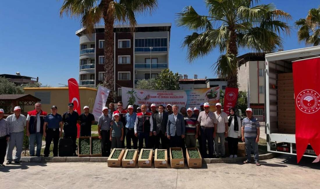 Aydın’ın Buharkent ilçesinde proje kapsamında 77 bin 143 domates fidesinin