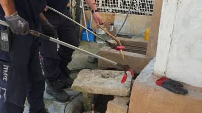 BURSA (AA) – Bursa’nın İnegöl ilçesinde evin bahçesinde yakalanan oluklu