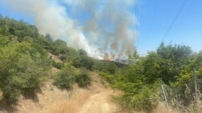 BURSA (AA) – Bursa’nın Yenişehir ilçesinde çıkan orman yangını havadan