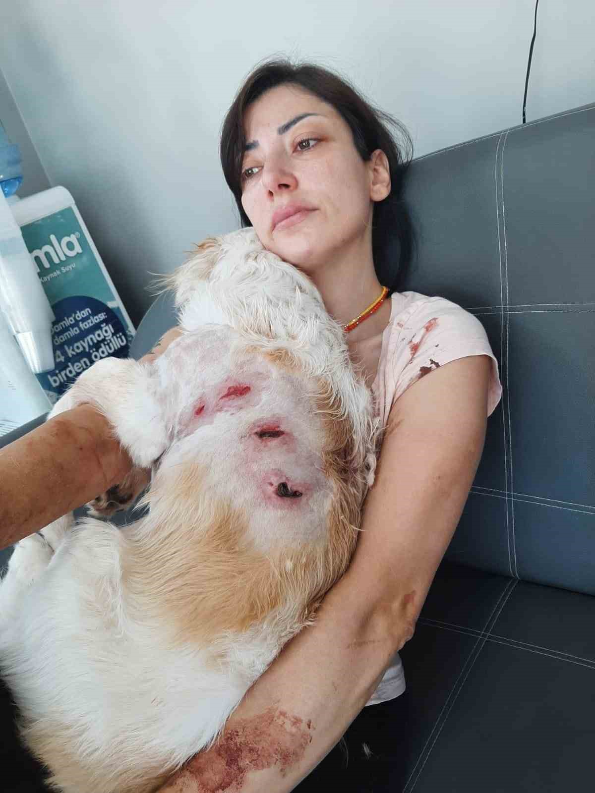 Bursa’nın Nilüfer ilçesinde genç bir kadın ve gezdirmeye çıkardığı köpeği;