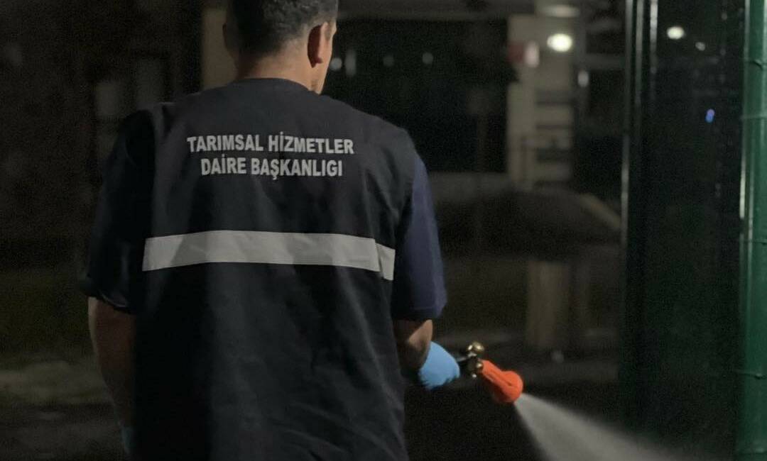 Erzurum Büyükşehir Belediyesi ekipleri, artan sıcaklıklarla birlikte haşerelere karşı ilaçlama