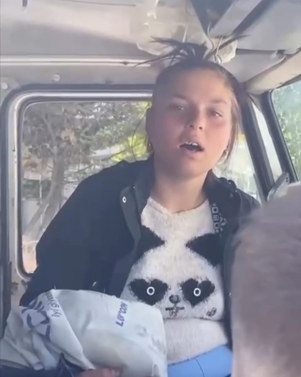 Bursa’nın merkez Osmangazi ilçesinde park halindeki bir kamyonu çalan kadın