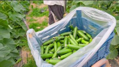 Denizli’nin Çameli Belediye Başkanı Cengiz Arslan, Güney Kore’de düzenlenen Cittaslow
