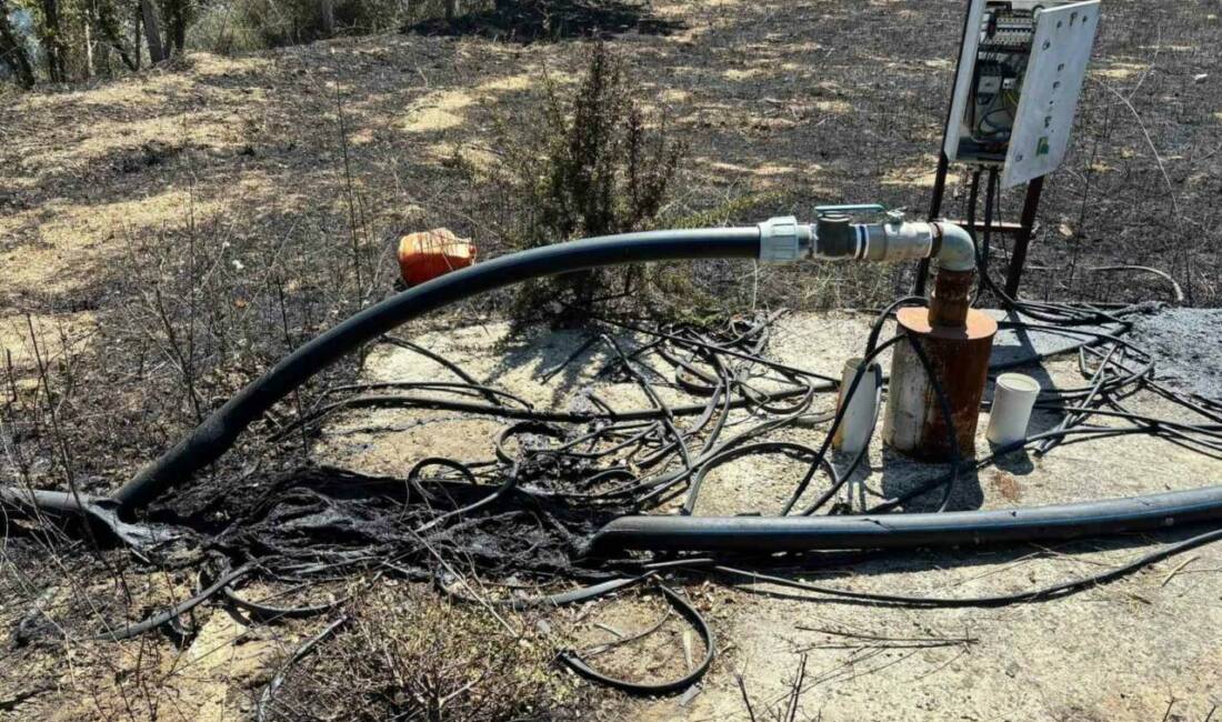 Çanakkale ve Biga ilçelerinde tarım arazisinde çıkan iki yangına neden