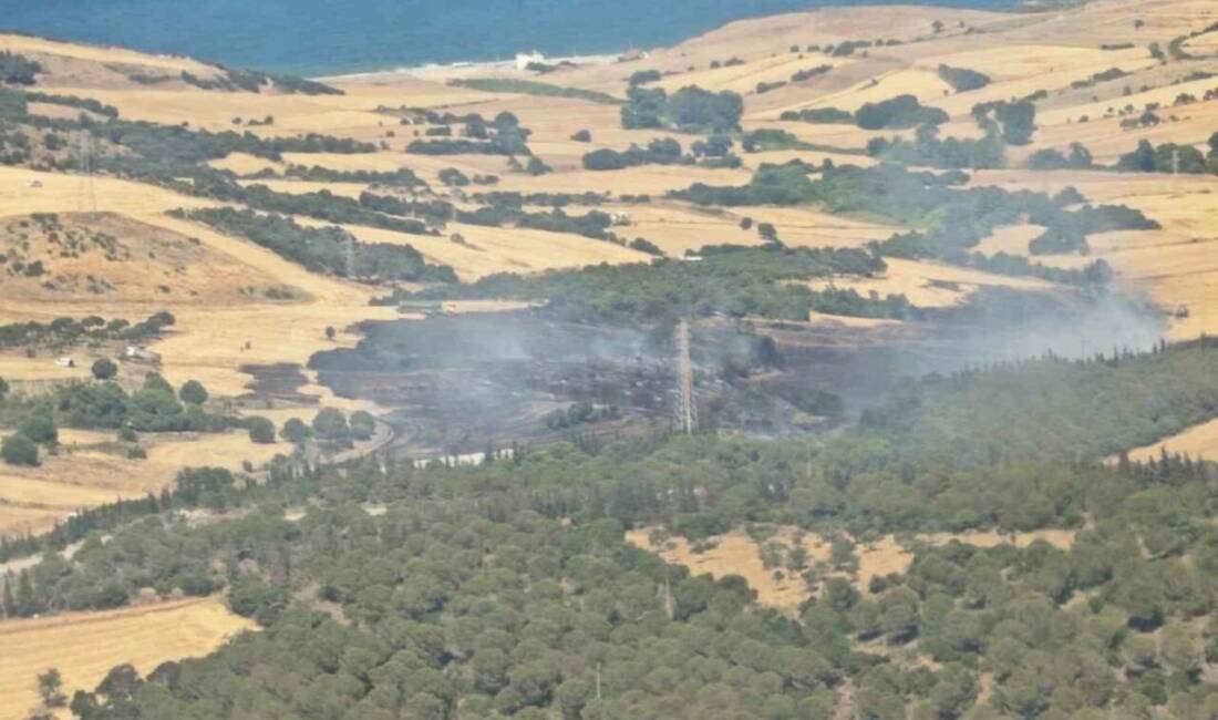 Çanakkale’nin Biga ilçesinde tarım arazisinde başlayıp ormanlık alana sıçrayan yangın,