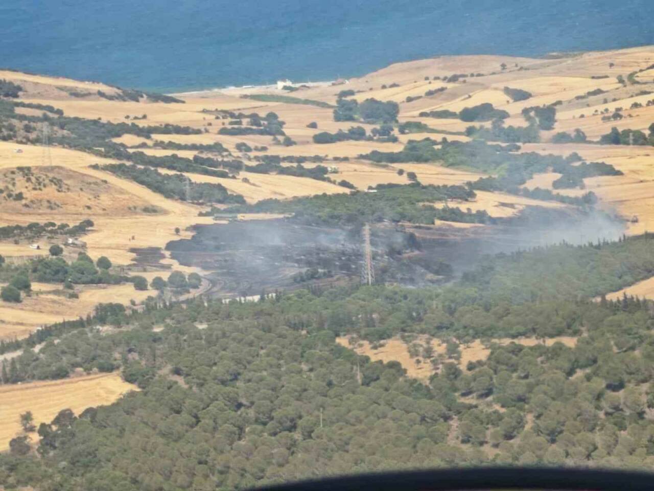 Çanakkale’nin Biga ilçesinde tarım arazisinde başlayıp ormanlık alana sıçrayan yangın,