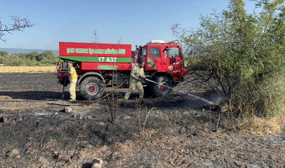 ÇANAKKALE (AA) – Çanakkale’nin Çan ilçesinde tarım arazisinde çıkan yangın