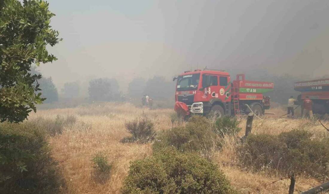 Çanakkale’nin Ezine ilçesinde tarım arazisinde çıkan yangını, Orman Bölge Müdürlüğü
