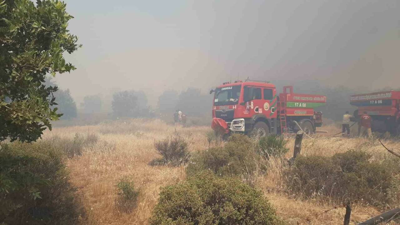 Çanakkale’nin Ezine ilçesinde tarım arazisinde çıkan yangını, Orman Bölge Müdürlüğü