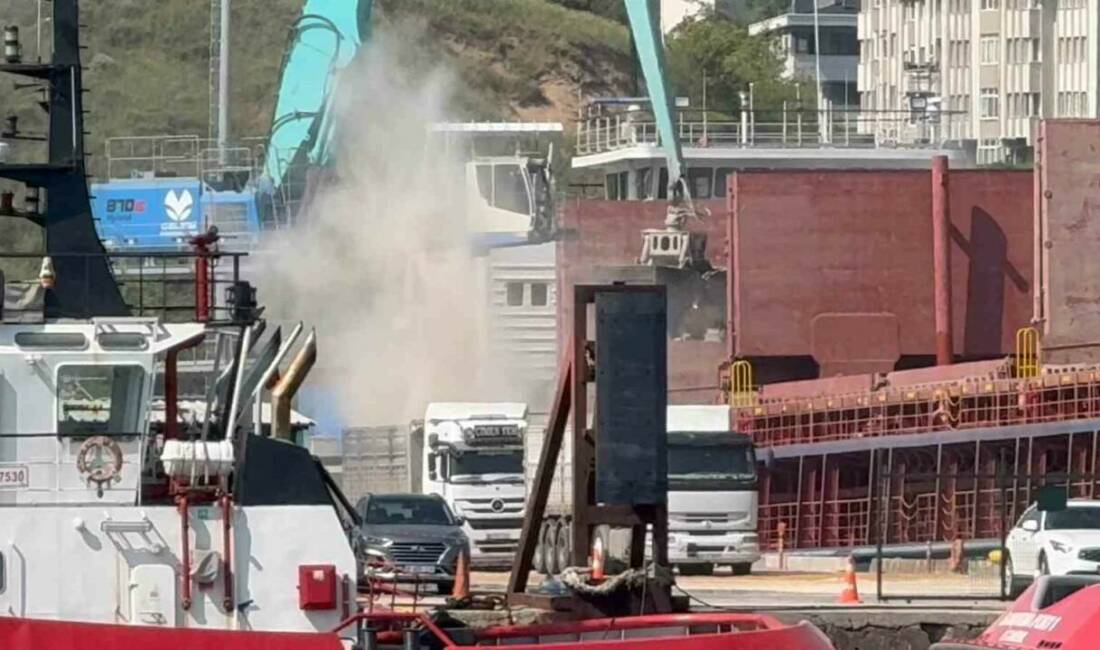 Balıkesir’in Bandırma ilçesinin merkezinde faaliyet gösteren Çelebi Limanı, deniz ve