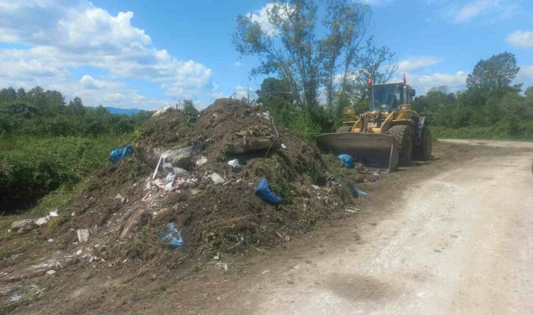 DÜZCE (İHA) – Düzce’nin Çilimli ilçesinde bulunan Dikmeli köyünde çevrede