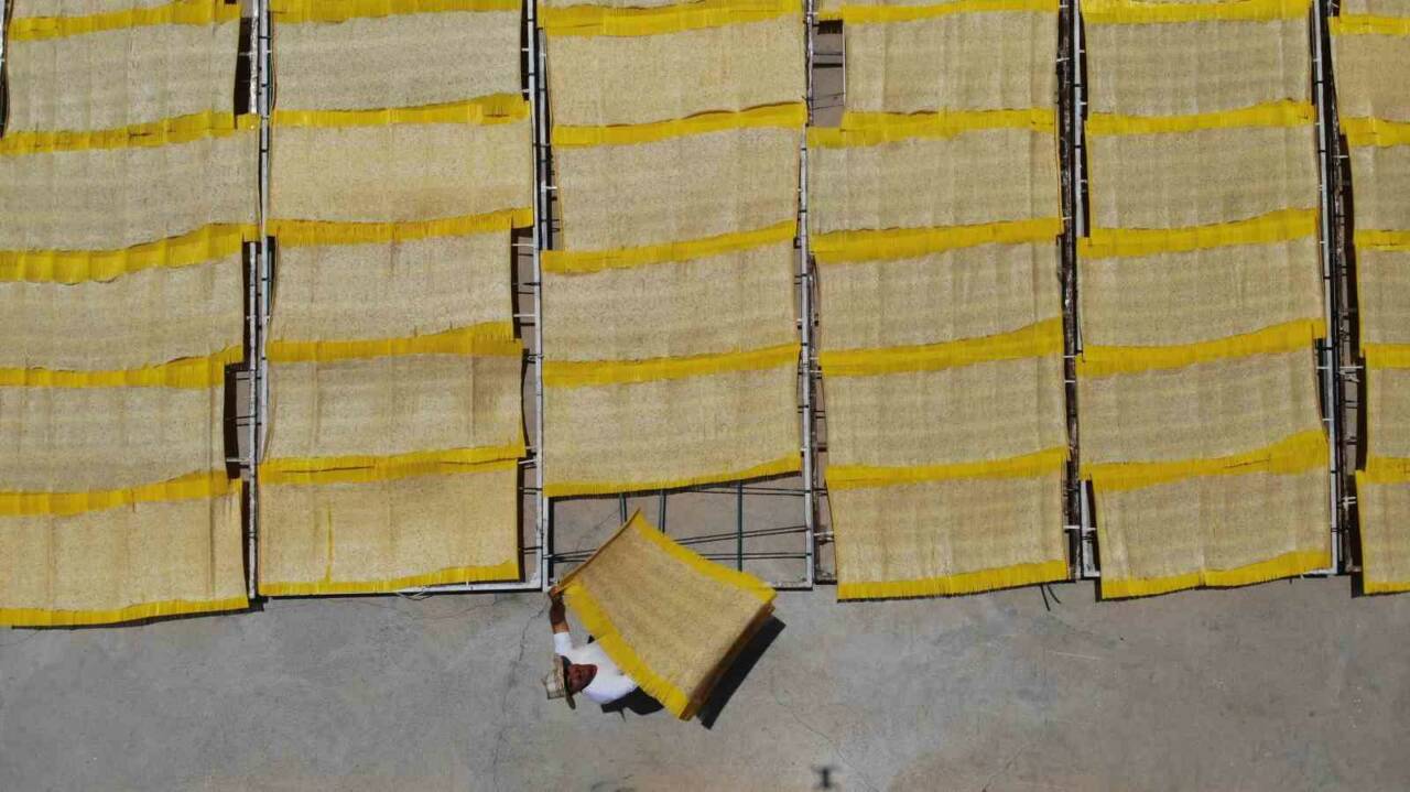 Türkiye’nin geleneksel lezzetlerinden tescilli Kahramanmaraş tarhanası, artık sadece çorba olarak
