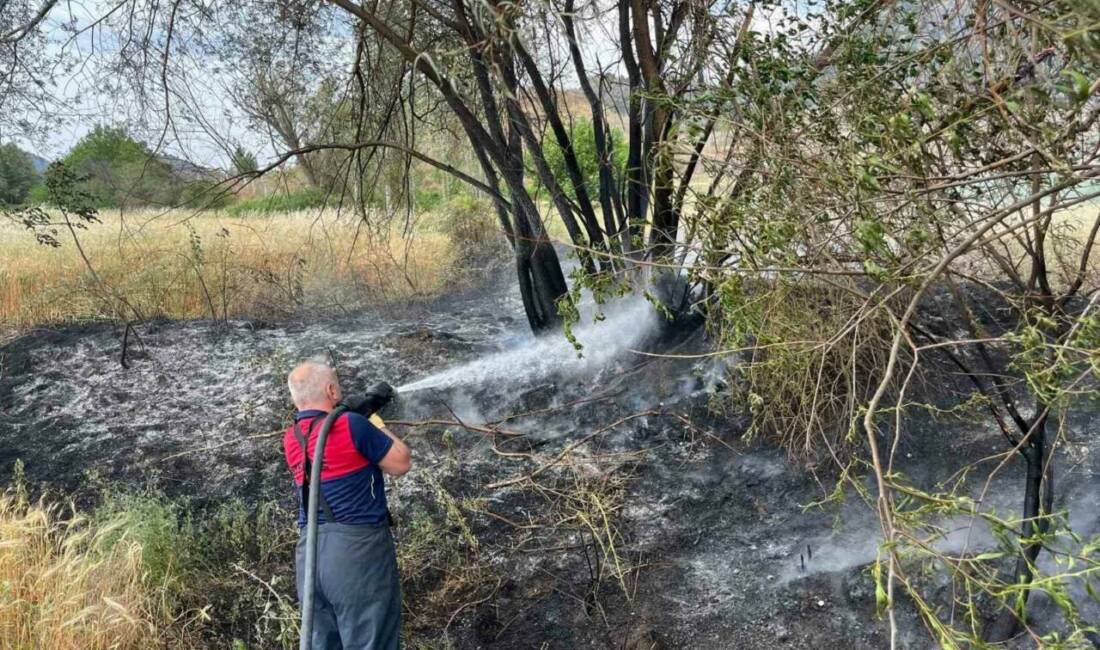 Çorum’un Osmancık ilçesinde arazide çıkan yangın ormanlık alana sıçramadan söndürüldü.