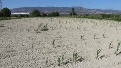 Denizli Büyükşehir Belediyesi Su ve Kanalizasyon İşleri Genel Müdürlüğü (DESKİ)