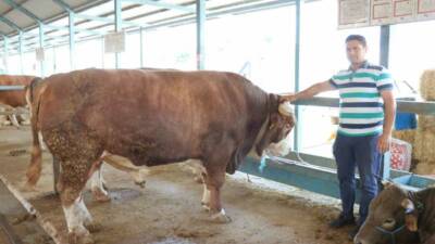 Kurban Bayramı’na sayılı günler kala kurban pazarlarından hareketlilik arttı. Denizli