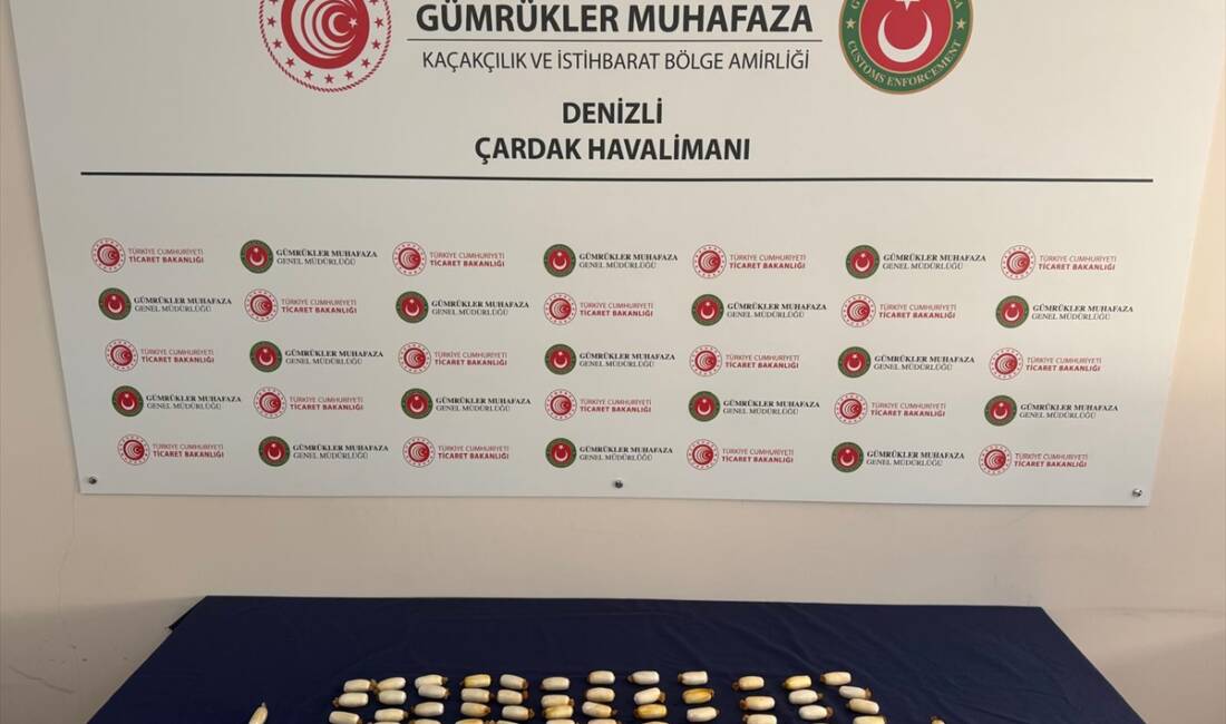 DENİZLİ (AA) – Denizli Çardak Havalimanı’nda, yabancı uyruklu bir yolcunun