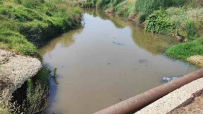 Adana’nın Sarıçam ilçesinde bulunan Suluca Cezaevi’nden dere yatağına atık su