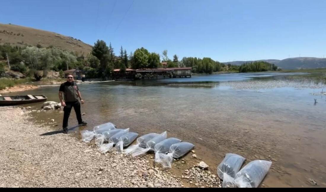 Afyonkarahisar’ın Dinar ilçesindeki baraj ve göletlere 205 bin yavru balık