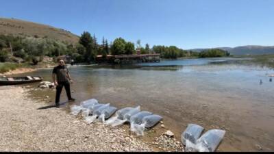 Afyonkarahisar’ın Dinar ilçesindeki baraj ve göletlere 205 bin yavru balık