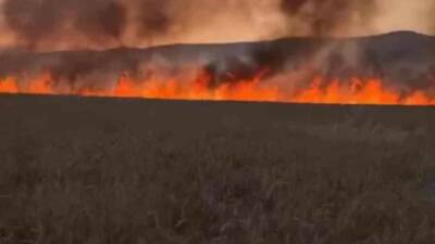 Diyarbakır’ın Lice ilçesinde buğday tarlası henüz bilinmeyen bir nedenden dolayı