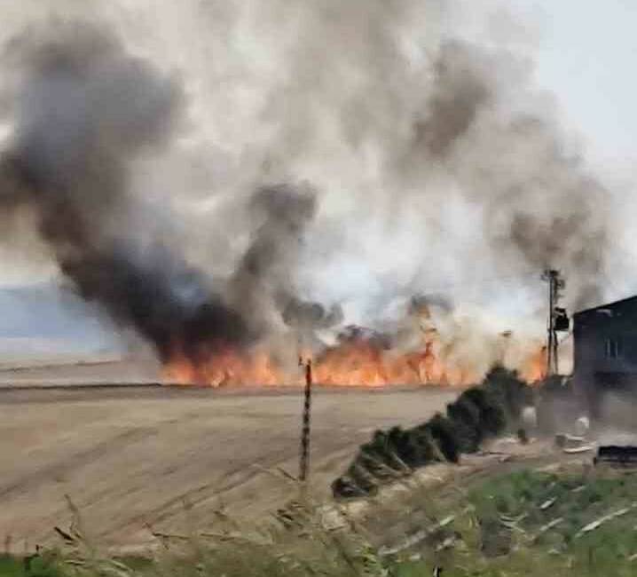 Diyarbakır’ın Çınar ilçesinde buğday tarlasında çıkan yangınlar kontrol altına alınarak