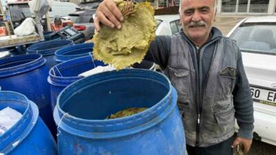 Tokat’ta etkili olan zirai dona rağmen Erbaa ilçesinin coğrafi işaretli