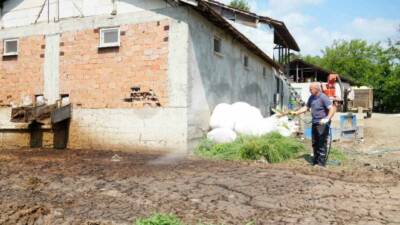 Düzce Belediyesi, yaz aylarında artan sivrisinek ve karasinek popülasyonuna karşı