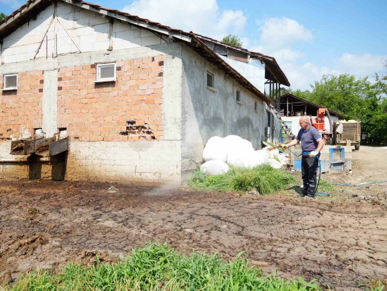 Düzce Belediyesi, yaz aylarında artan sivrisinek ve karasinek popülasyonuna karşı