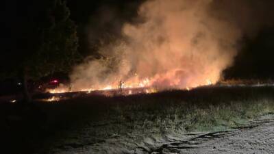 EDİRNE (AA) – Edirne’de Tunca Nehri kenarındaki otluk alanda çıkan