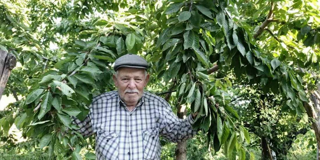 Türkiye’nin en önemli meyve üretim merkezlerinin başında yer alan Aydın