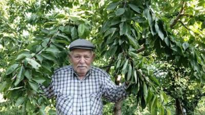 Türkiye’nin en önemli meyve üretim merkezlerinin başında yer alan Aydın