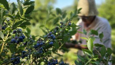 ZONGULDAK (AA) – Zonguldak’ta uzun yıllar doktorluk yaptıktan sonra emekli