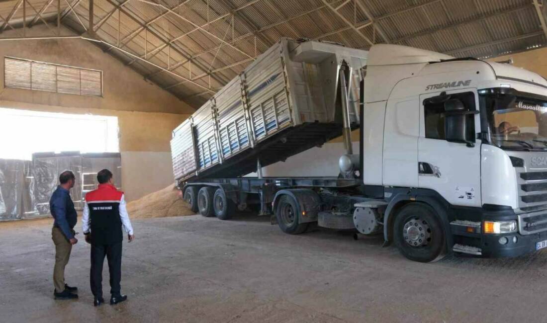 2024 yılında 242 bin 321 dekar alana arpa ekilen Erzincan’da