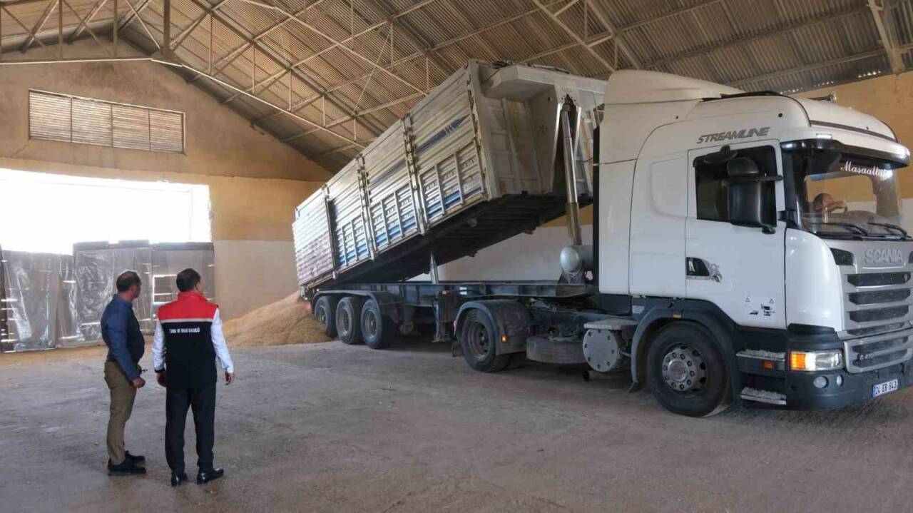 2024 yılında 242 bin 321 dekar alana arpa ekilen Erzincan’da