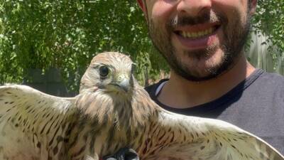 ERZURUM (AA) – Erzurum’da bitkin halde bulunan kerkenez, bakımı ve