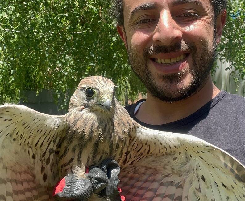 ERZURUM (AA) – Erzurum’da bitkin halde bulunan kerkenez, bakımı ve
