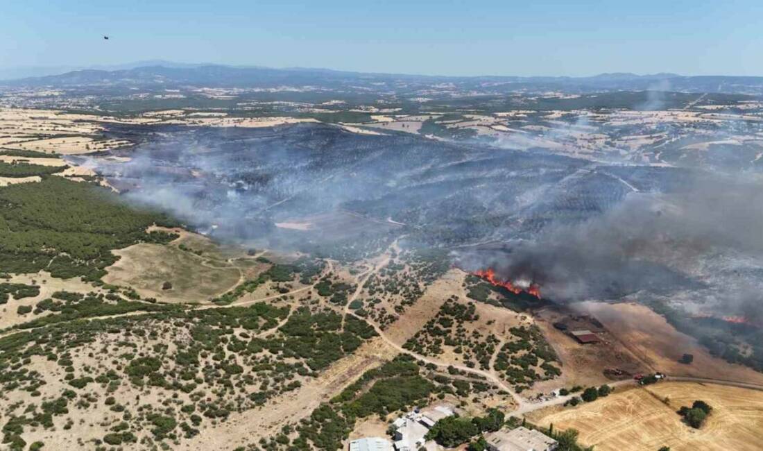 Çanakkale’nin Ezine ilçesindeki orman yangını kontrol altına alındı. Yangında ilk