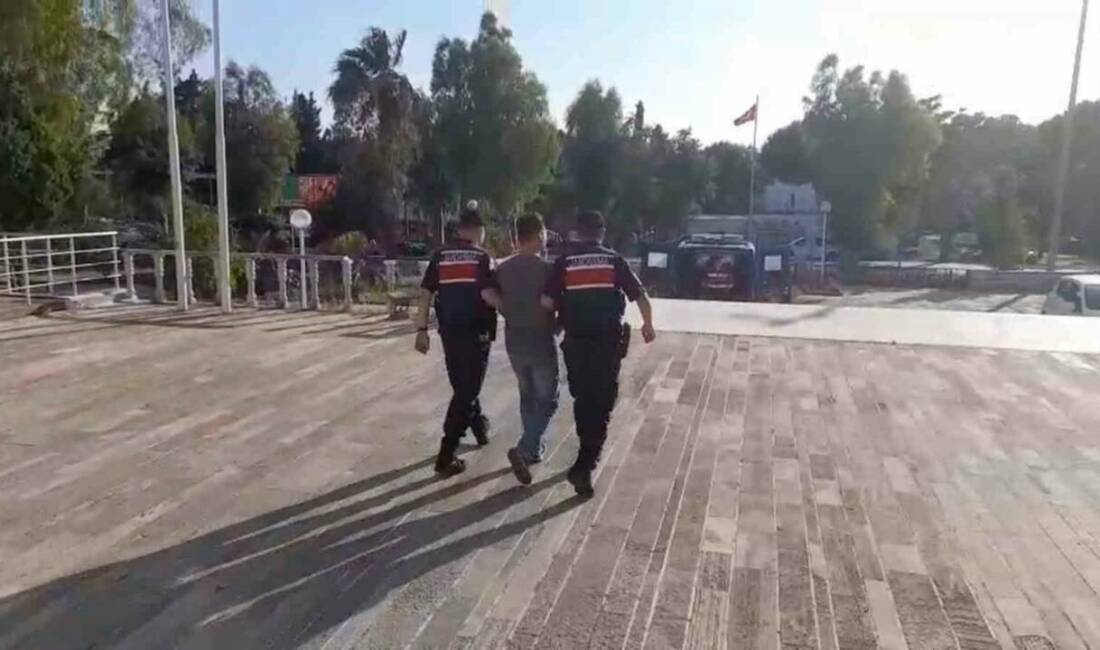 İzmir’in Foça ilçesinde 14 Haziran’da çıkan orman yangınıyla ilgili gözaltına