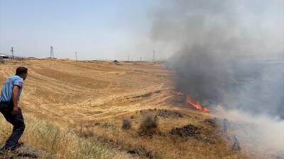 - Yangında yaklaşık 50 zeytin ağacı zarar gördü