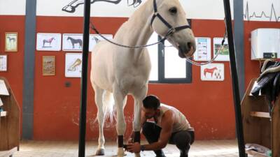 - Acil Servis'teki yoğun mesaisine rağmen binicilikte çeşitli yarışlara katılarak