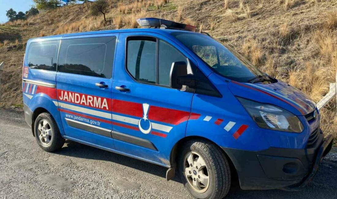 Aydın’ın Nazilli ilçesinde 17 yaşındaki bir genç kız hayvan damında