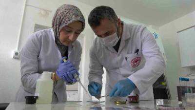 Kurban Bayramı’nda kesilen etin, henüz sıcakken buzdolabına konulmasının sağlık açısından