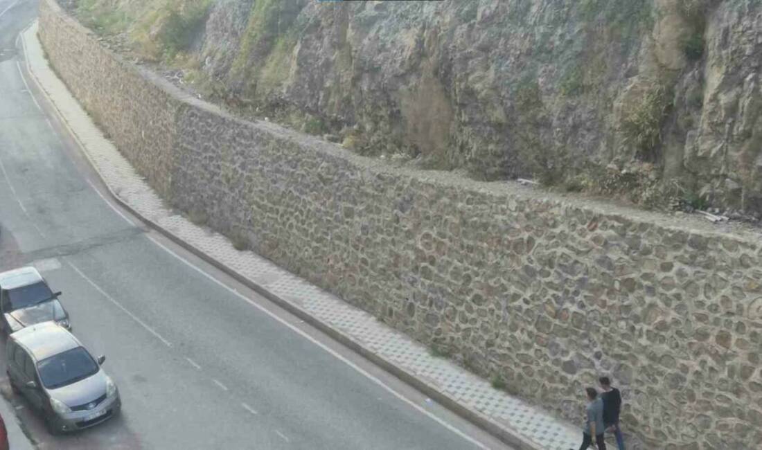 Gümüşhane’de kent merkezine kadar inen 3 yaban keçisi, mahalle sakinleri