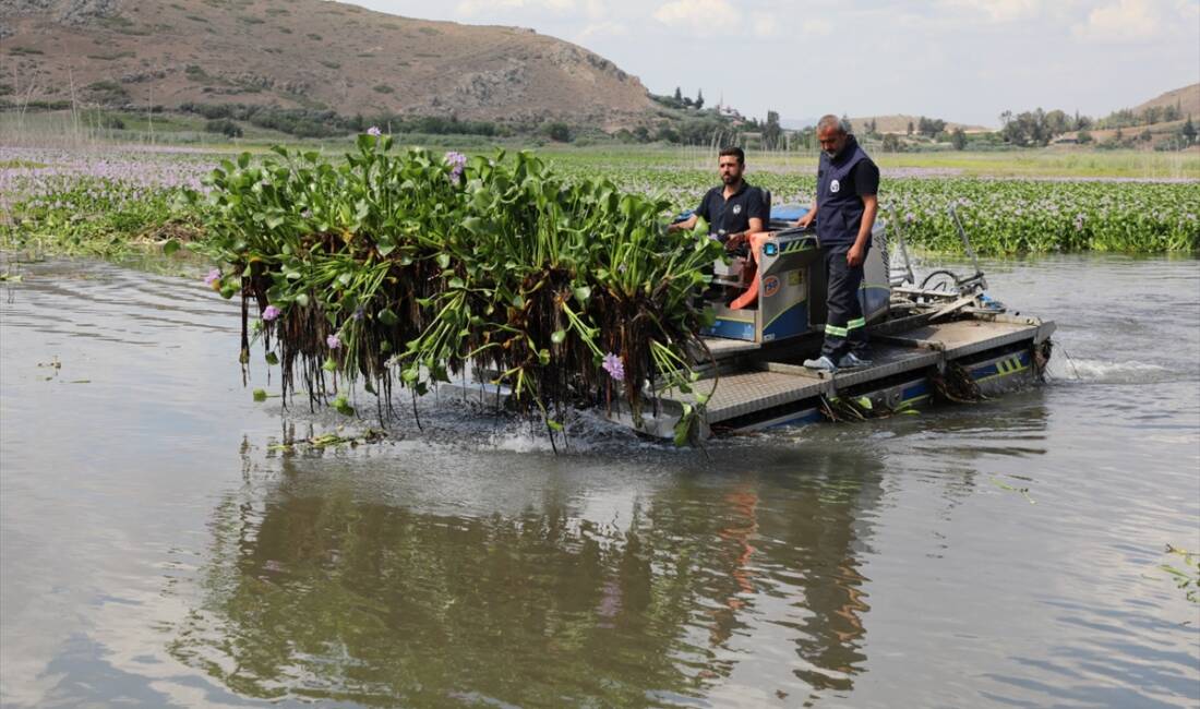 HATAY (AA) – Hatay’ın Kırıkhan ilçesindeki Gölbaşı Gölü’nü kaplayan su