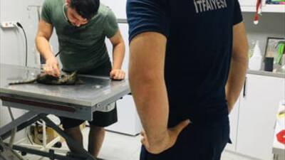 HATAY (AA) – Hatay’ın İskenderun ilçesinde itfaiye ekibi, sıkıştığı konteynerden