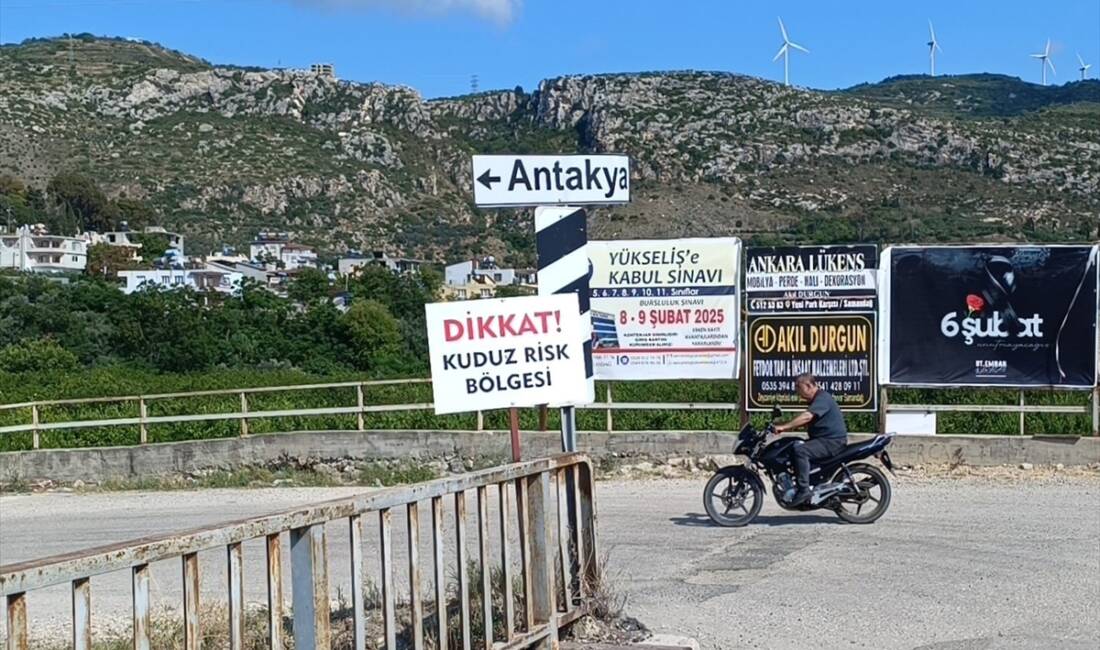 HATAY (AA) – Hatay’ın Samandağ ilçesinde, kuduz nedeniyle karantinaya alınan