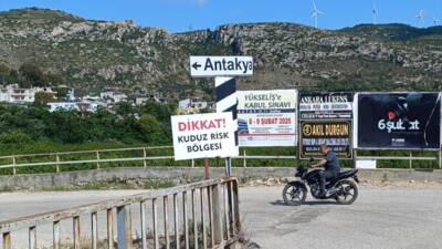 HATAY (AA) – Hatay’ın Samandağ ilçesinde, kuduz nedeniyle karantinaya alınan