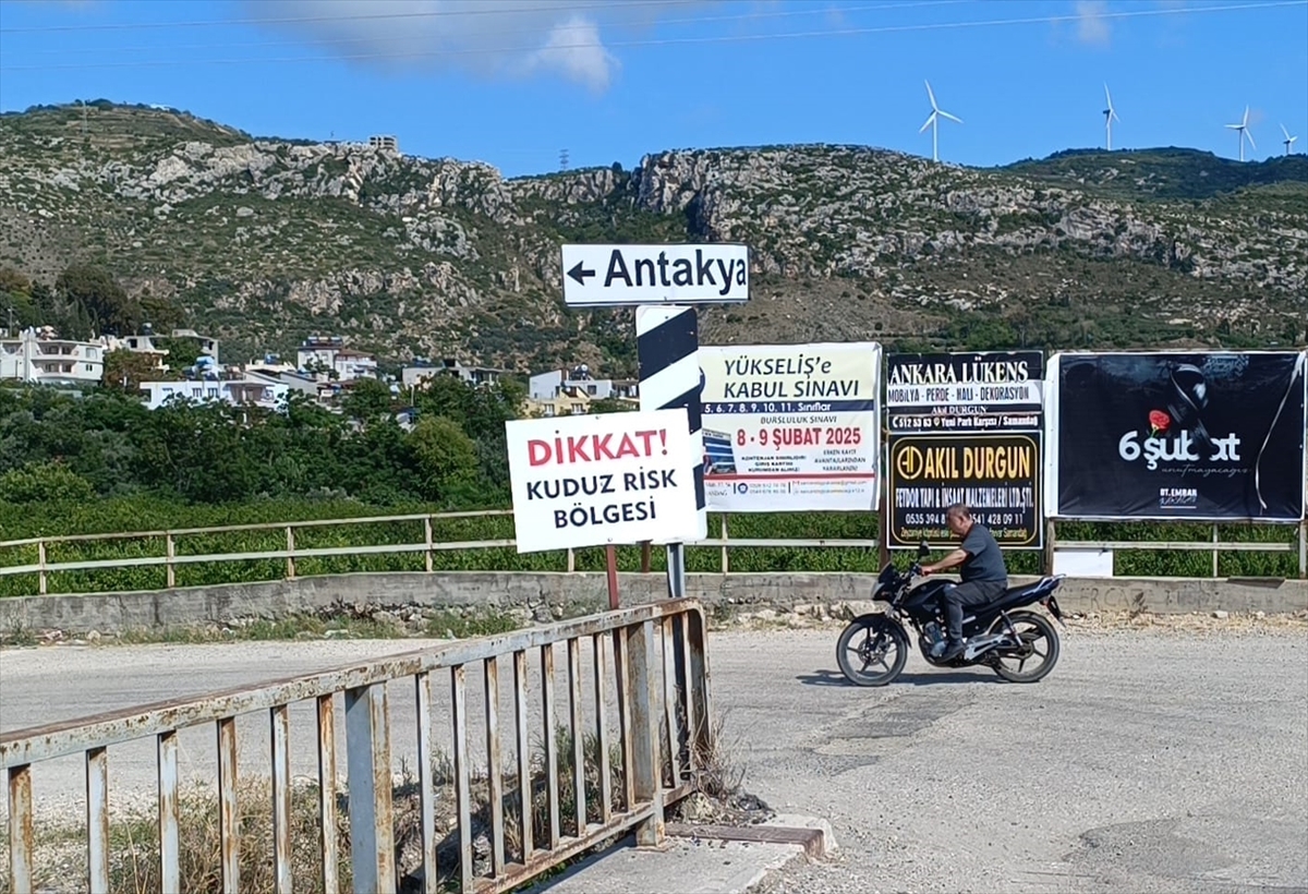 HATAY (AA) – Hatay’ın Samandağ ilçesinde, kuduz nedeniyle karantinaya alınan