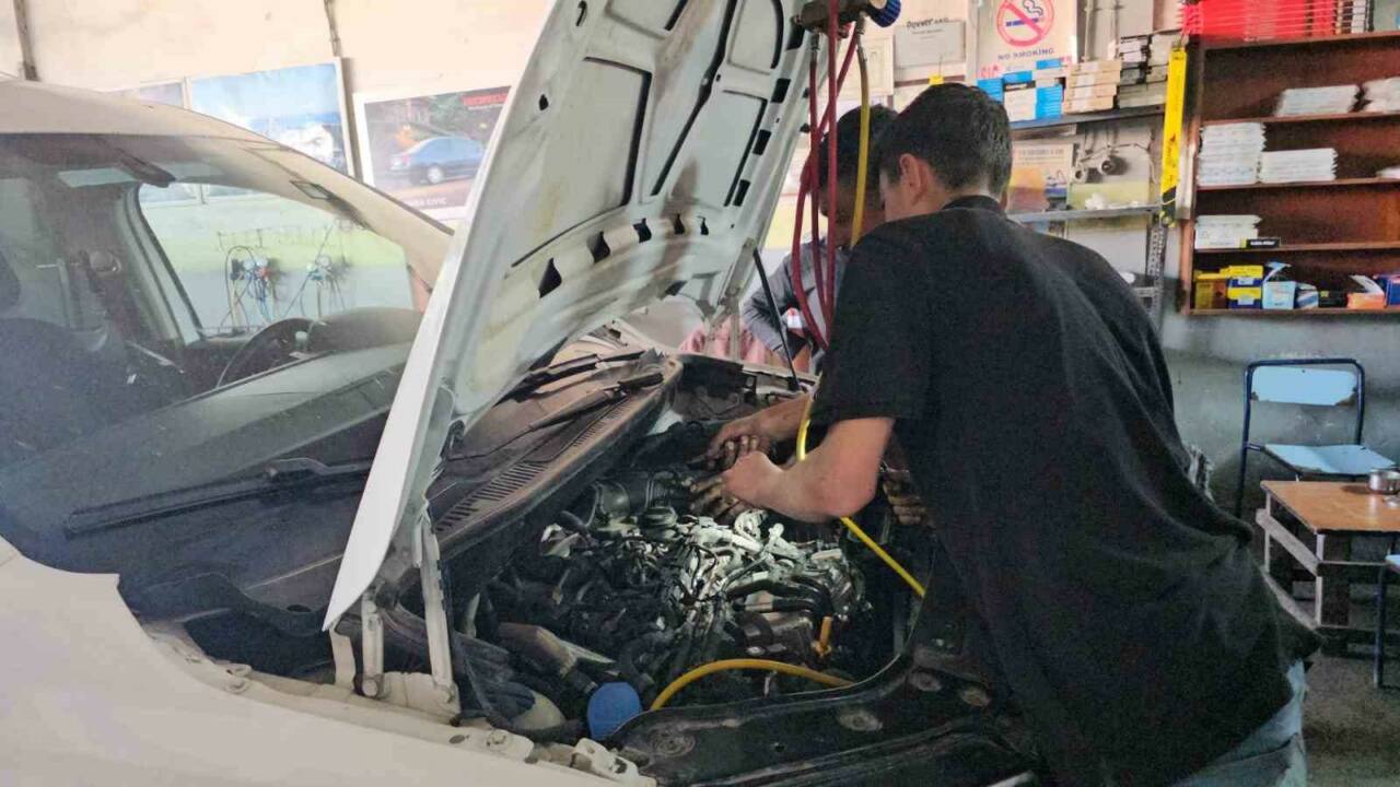 BİTLİS (İHA) – Bitlis’in Adilcevaz ilçesinde havaların ısınmasıyla birlikte sanayi