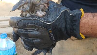 İZMİR (AA) – İzmir’in Ödemiş ilçesinde müştemilatta çıkan yangında yaralanan